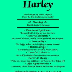 🚫DO NOT BUY🚫BUNDLE FOR HARLEY